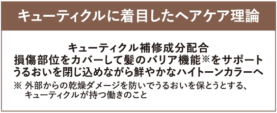 使用前の髪色 仕上がりイメージ