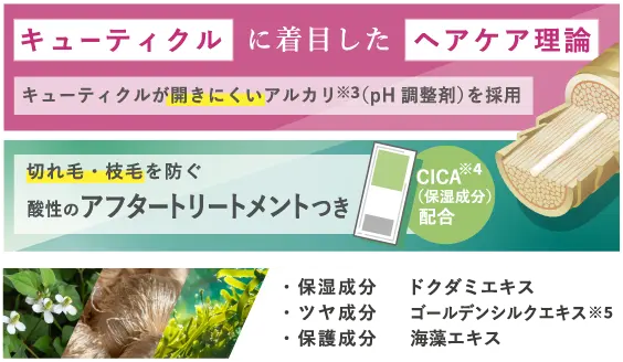 キューティクルに着目したヘアケア理論