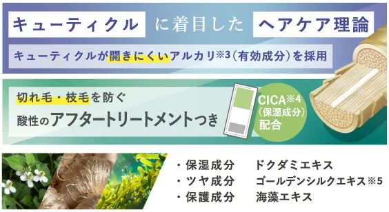 キューティクルに着目したヘアケア理論