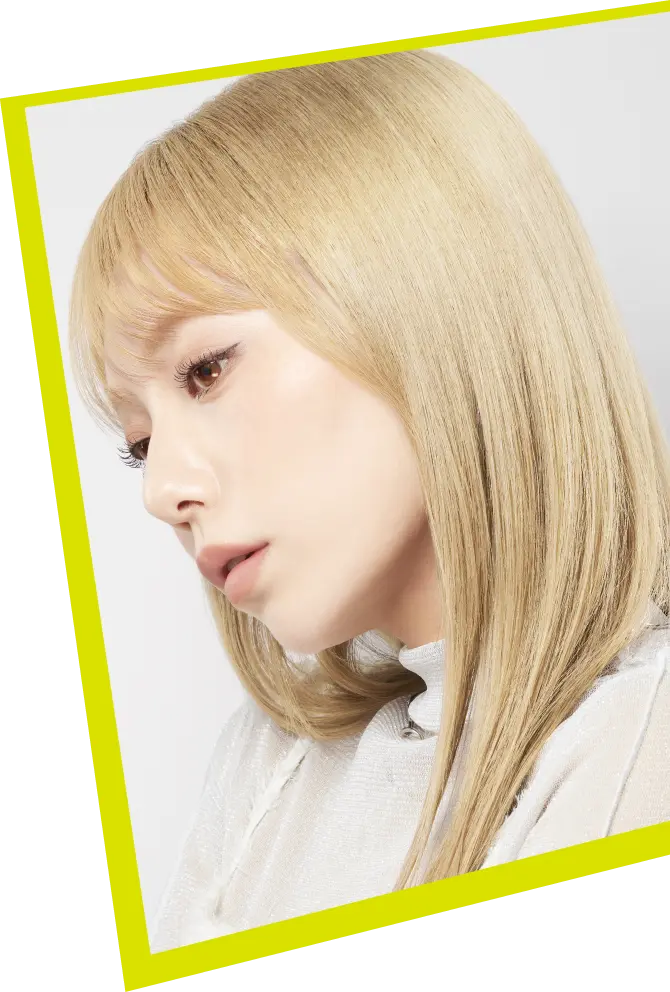 ハイトーンブリーチ（全体用） モデルイメージ